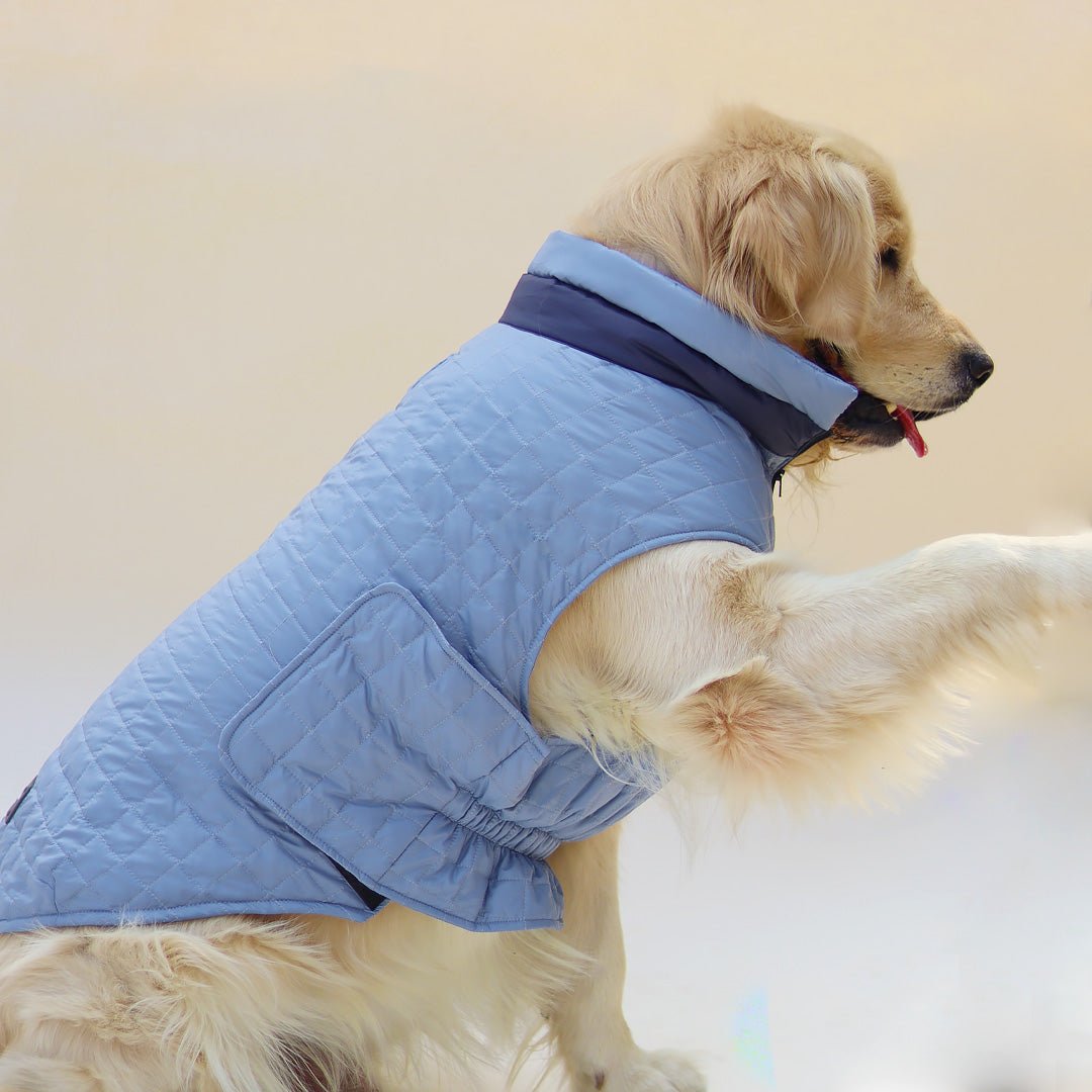 New Quilted Dog jacket Sky Blue - Image 5