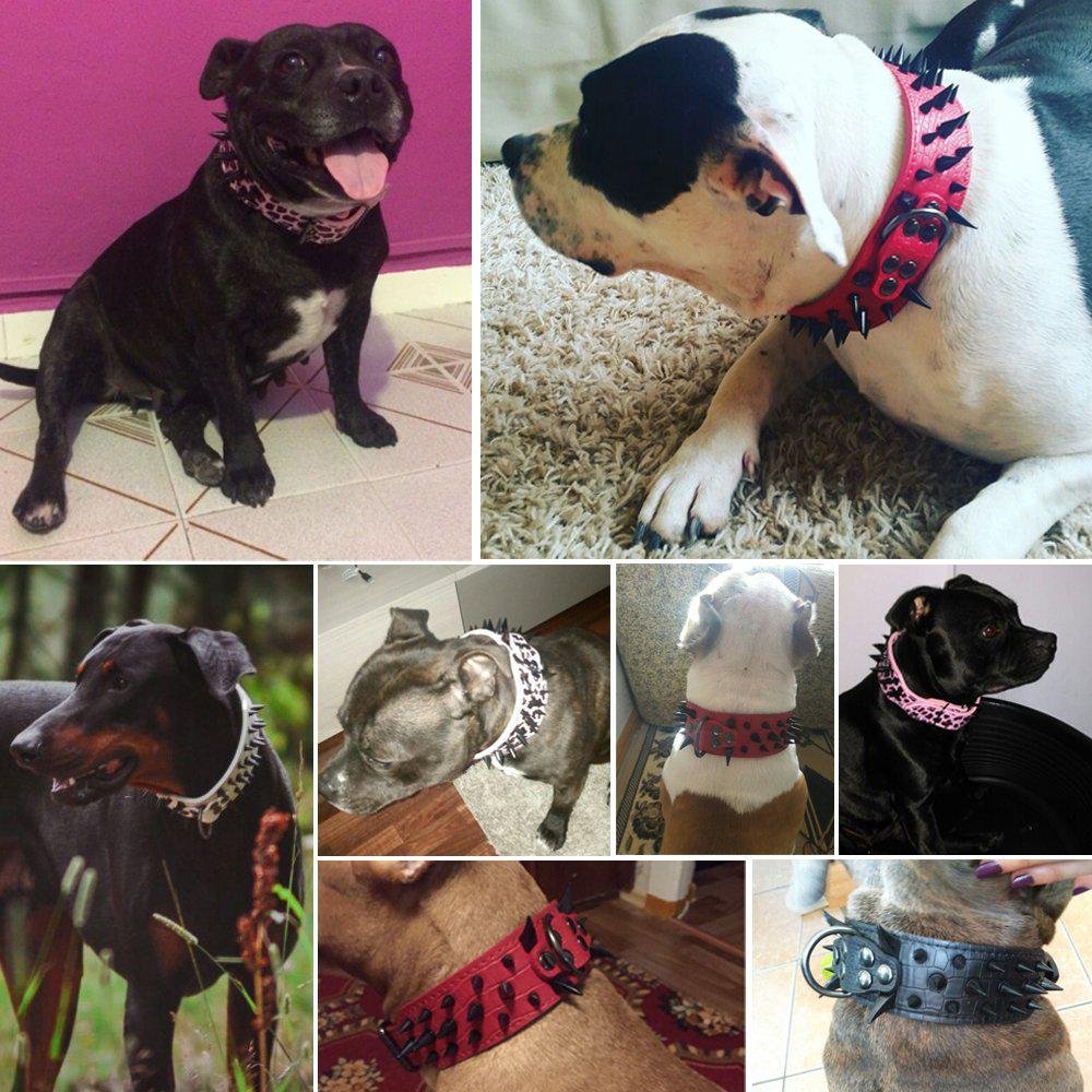 Studded leather collar with adjustable pointed spikes for medium and large dogs such as Pitbull. Bulldog. Boxer - Image 16