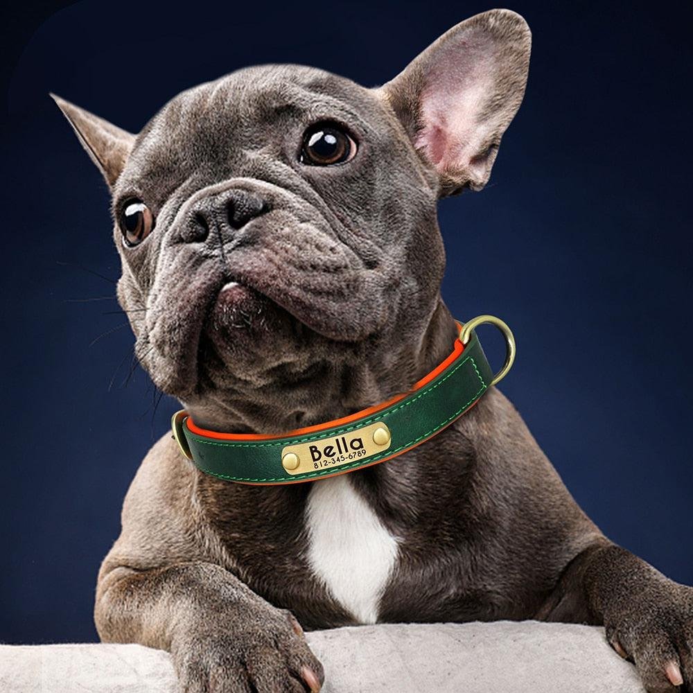 Personalized Leather Dog Collar. Soft Padded Collar. Name Engraving for Small. Medium and Large Puppies. Adjustable - Image 9