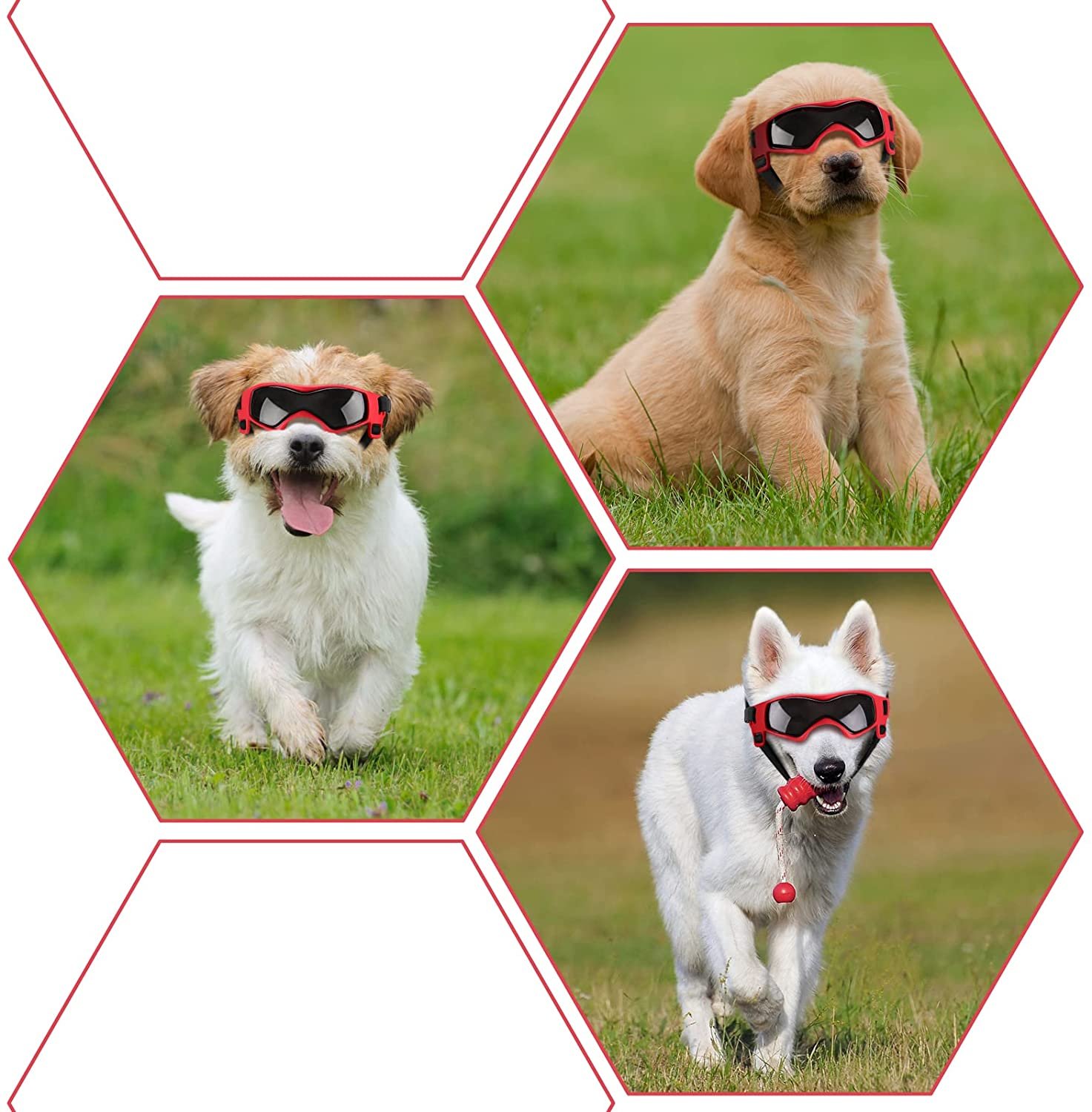 Adjustable Sunglasses for Small and Medium Breed Dogs. UV Protection. Easy to Wear. Dog Accessory - Image 7