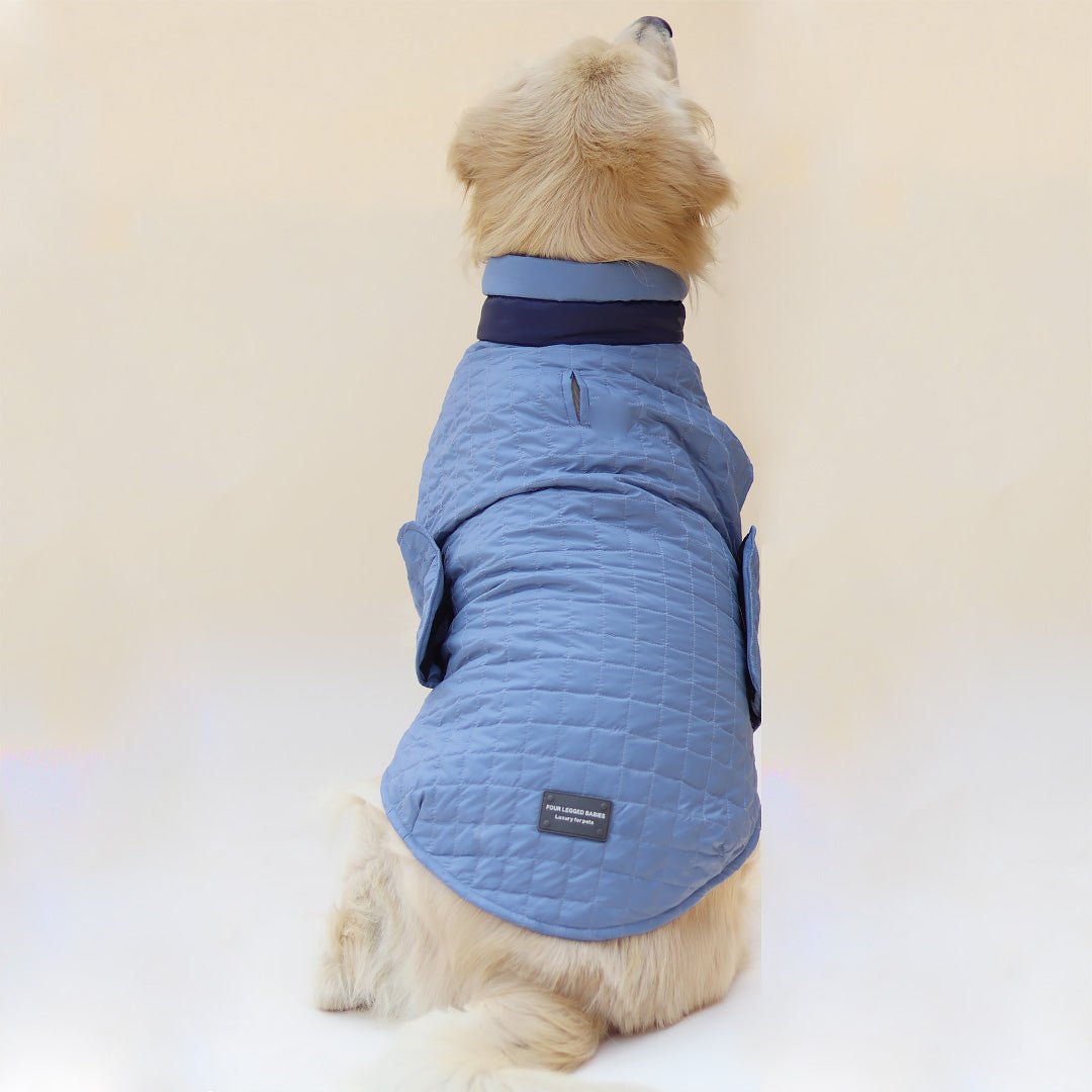 New Quilted Dog jacket Sky Blue - Image 6