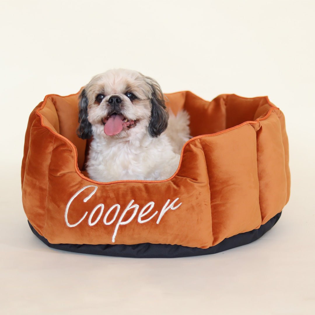 High Wall Orange personalized Luxury Velvet Bed For Dogs - Image 3
