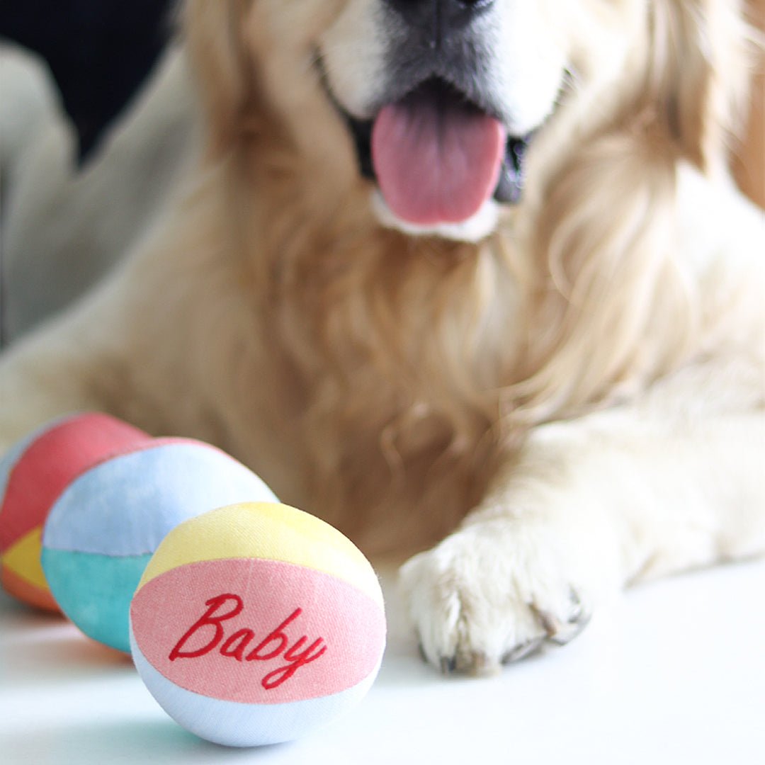 Luxury Colorful ball toy - New in - Image 2