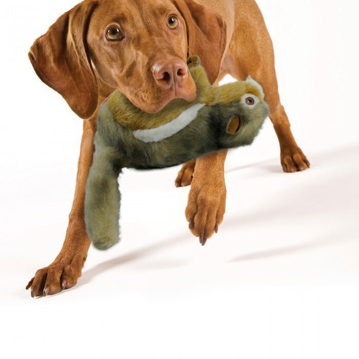 All For Paws Classic Chipmunk - Image 3