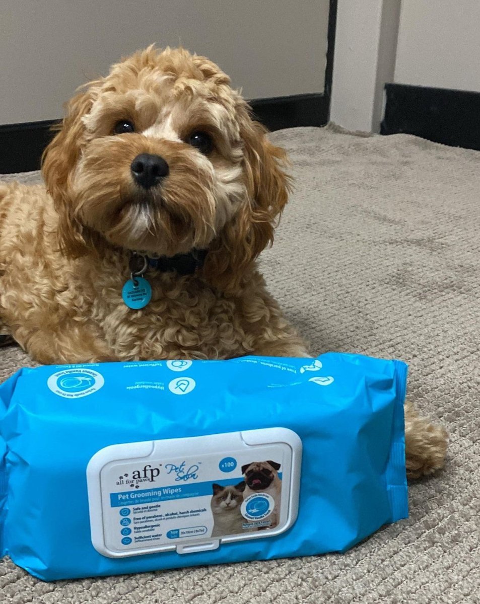 All For Paws Pet Salon Pet Grooming Wipes - Coconut Vanilla Scent (100 wipes) - Image 4