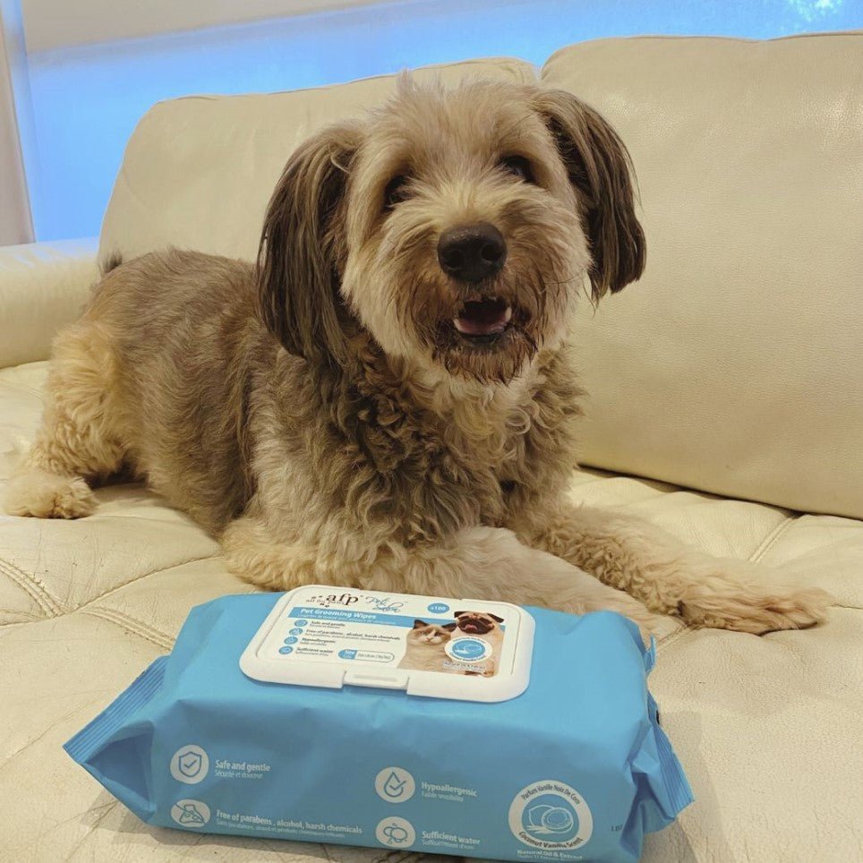 All For Paws Pet Salon Pet Grooming Wipes - Coconut Vanilla Scent (100 wipes) - Image 3