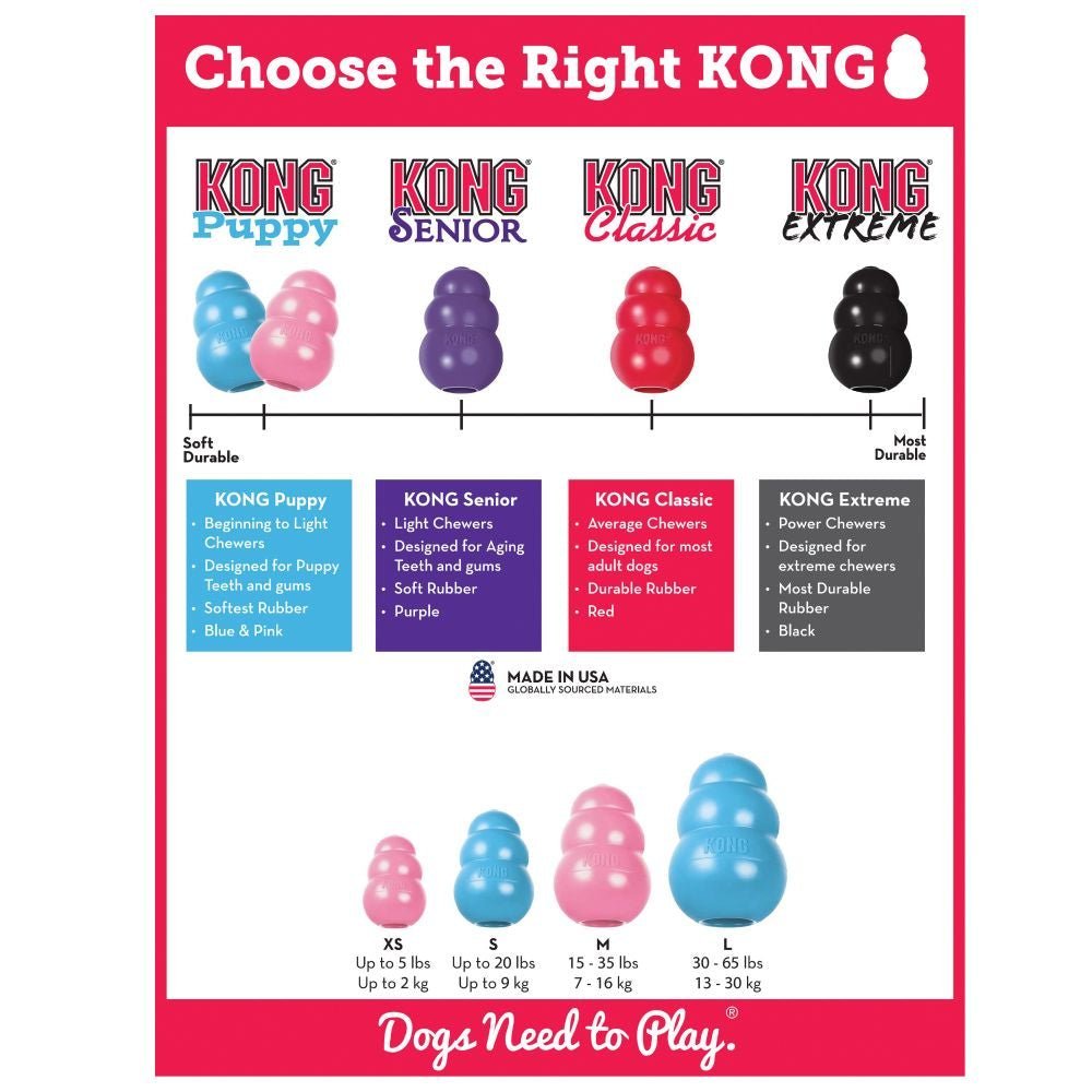 KONG Puppy - Image 4
